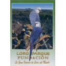 LORO Parque Fundacion Tenerife  LORO Park Stiftung Teneriffa (D